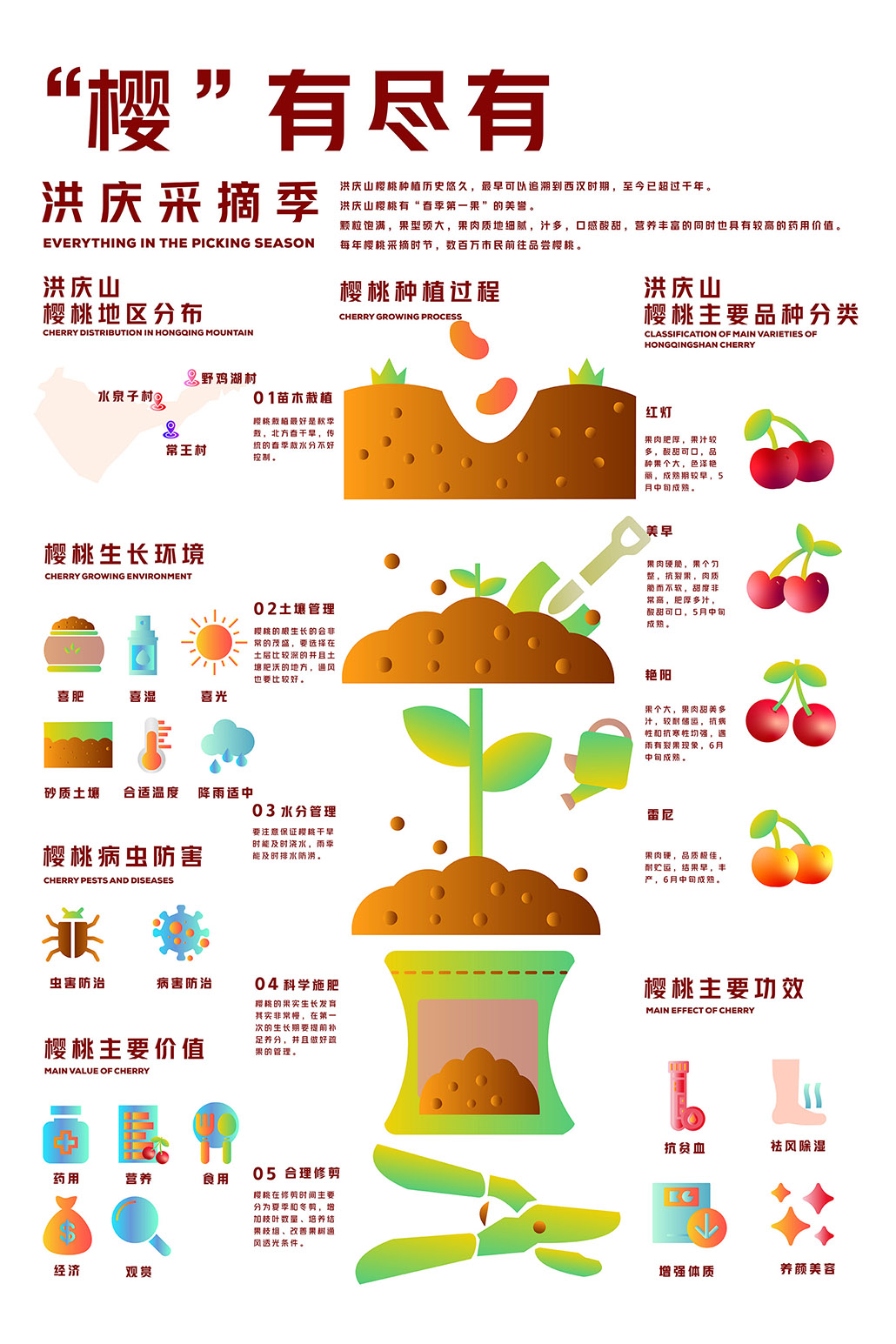 樱桃采摘季信息图表