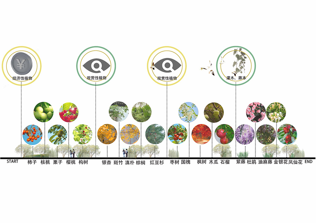 植物分析