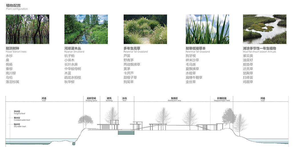 植物配置与剖立面